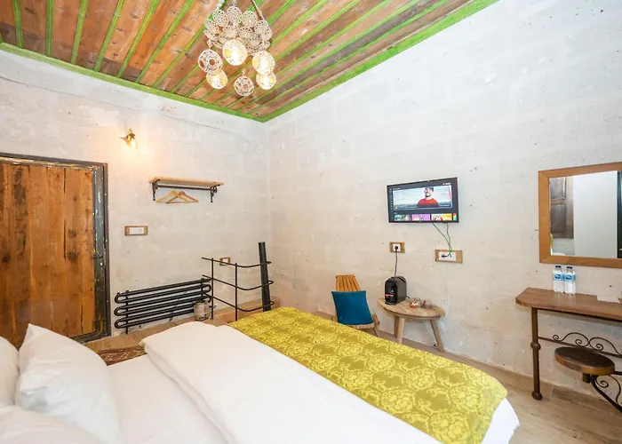 Terracota 阿瓦诺斯